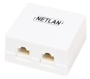 Настенная розетка NETLAN, 2 порта, Кат.5e (Класс D), 100МГц, RJ45/8P8C, 110, T568A/B, неэкранированная, белая